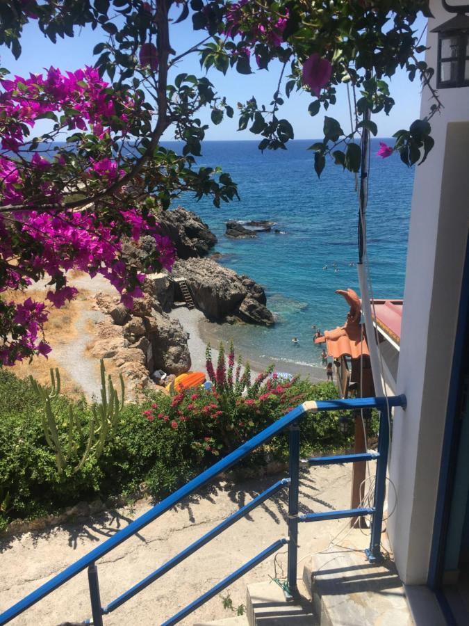 Great Sea-View Apartment. Khora Sfakion Ngoại thất bức ảnh